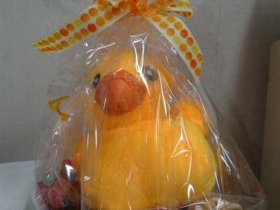 Kinderpakketje pluche eend: 5€